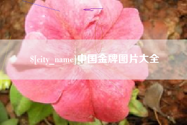 揭阳中国金牌图片大全