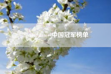 揭阳中国冠军榜单