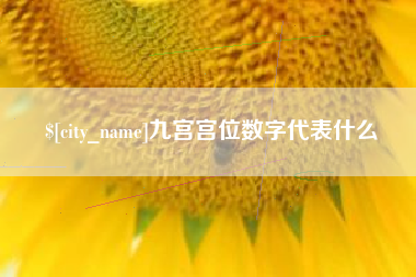 揭阳九宫宫位数字代表什么