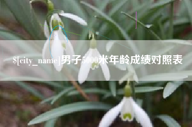 揭阳男子5000米年龄成绩对照表