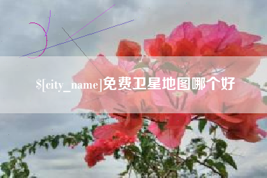 揭阳免费卫星地图哪个好