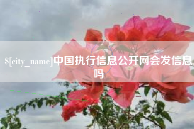 揭阳中国执行信息公开网会发信息吗