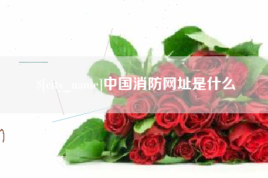 揭阳中国消防网址是什么