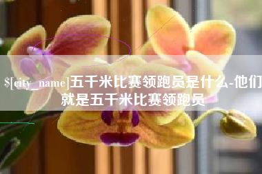 揭阳五千米比赛领跑员是什么-他们就是五千米比赛领跑员