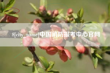 揭阳中国消防报考中心官网