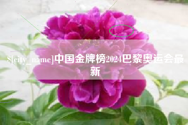 揭阳中国金牌榜2024巴黎奥运会最新
