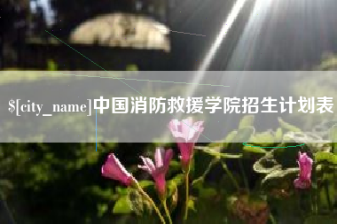 揭阳中国消防救援学院招生计划表