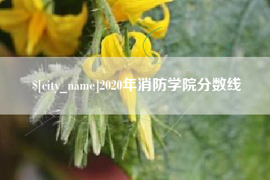 揭阳2020年消防学院分数线