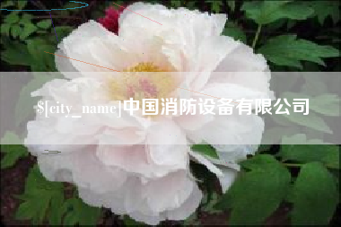 揭阳中国消防设备有限公司