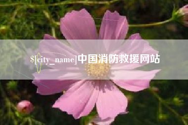 揭阳中国消防救援网站
