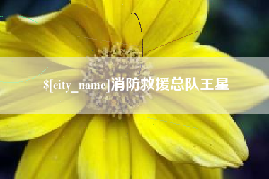 揭阳消防救援总队王星