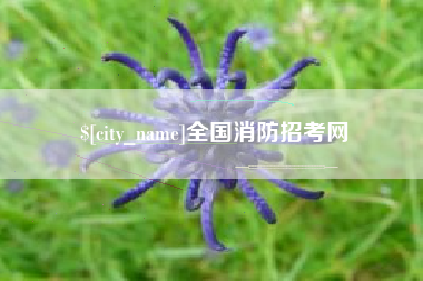 揭阳全国消防招考网