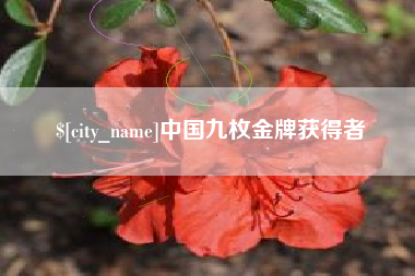 揭阳中国九枚金牌获得者