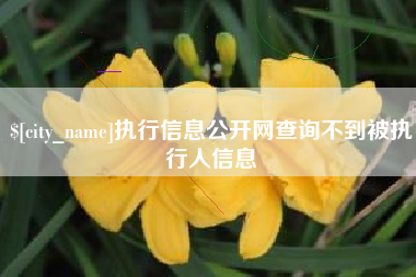 揭阳执行信息公开网查询不到被执行人信息