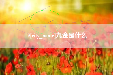 揭阳九金是什么