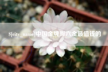 揭阳中国金牌哪六金最值钱的