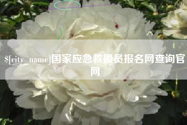 揭阳国家应急救援员报名网查询官网