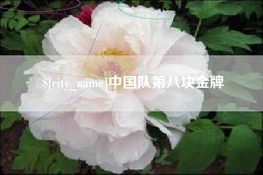 揭阳中国队第八块金牌
