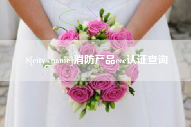 揭阳消防产品ccc认证查询