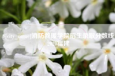 揭阳消防救援学院招生录取分数线2020福建