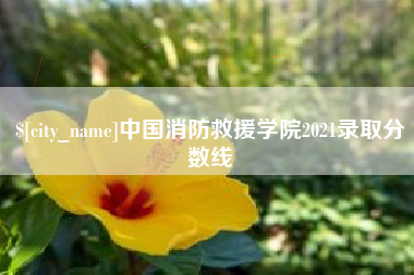 揭阳中国消防救援学院2021录取分数线
