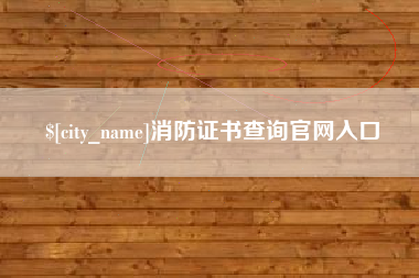 揭阳消防证书查询官网入口