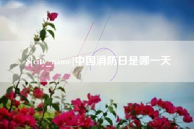 揭阳中国消防日是哪一天