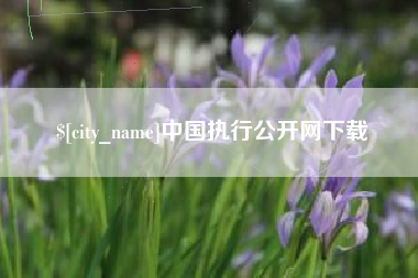 揭阳中国执行公开网下载