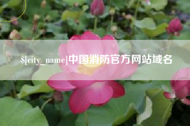 揭阳中国消防官方网站域名