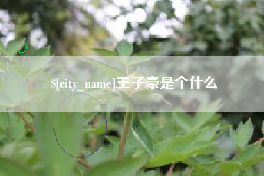 揭阳王子豪是个什么