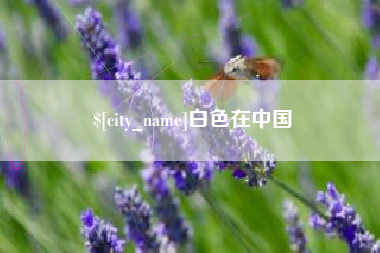揭阳白色在中国