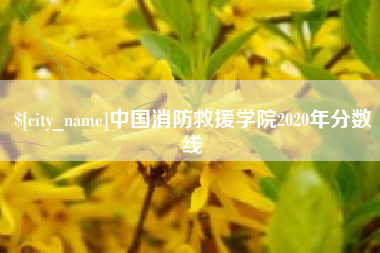 揭阳中国消防救援学院2020年分数线