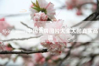 揭阳中国金牌图片大全大图真实高清