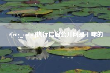 揭阳执行信息公开网是干嘛的