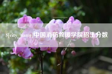 揭阳中国消防救援学院招生分数