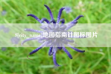 揭阳地图指南针图标图片