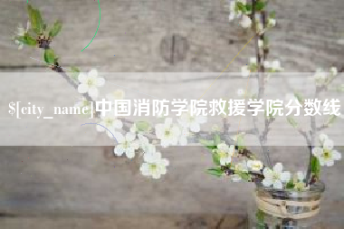 揭阳中国消防学院救援学院分数线