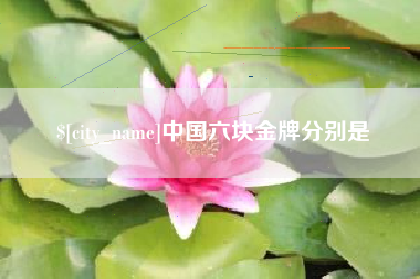 揭阳中国六块金牌分别是