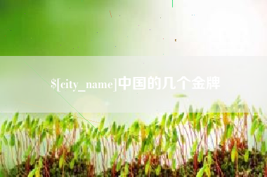 揭阳中国的几个金牌