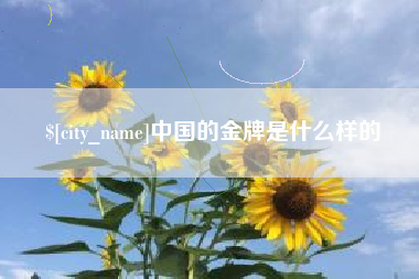 揭阳中国的金牌是什么样的
