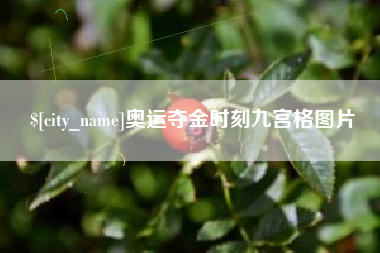 揭阳奥运夺金时刻九宫格图片