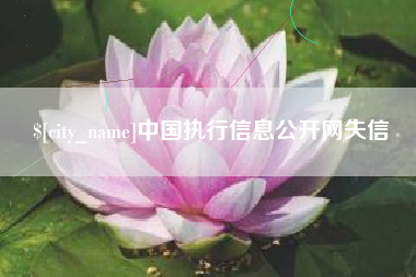 揭阳中国执行信息公开网失信