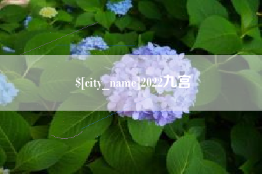 揭阳2022九宫