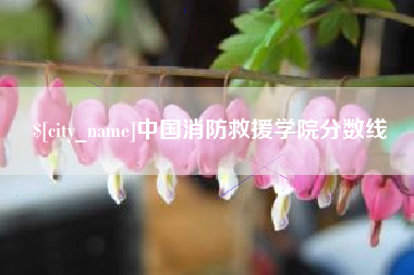 揭阳中国消防救援学院分数线