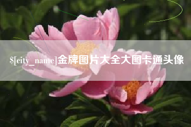 揭阳金牌图片大全大图卡通头像